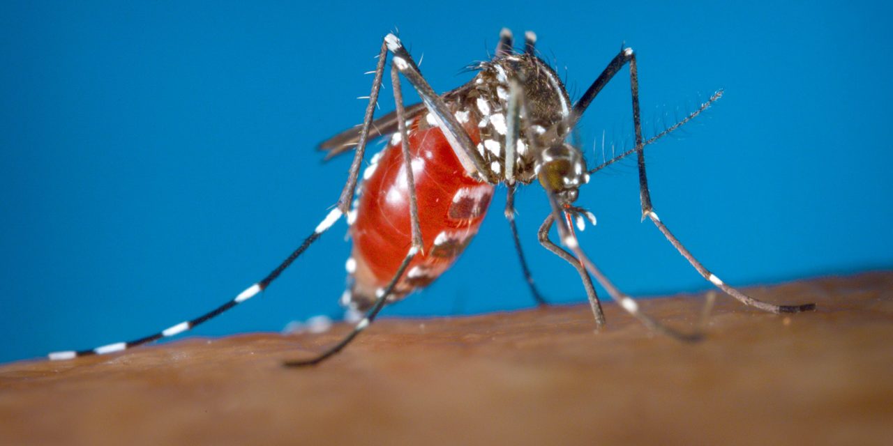 BPIA Thanks Appropriators for Zika Virus Funding