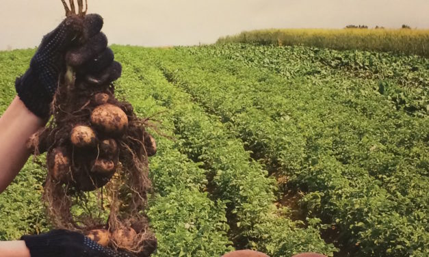 BPIA at 2017 Potato Expo