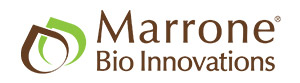 Marrone-300x83