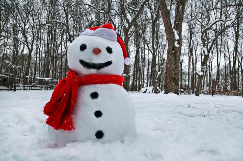 snowman_snowy_dec