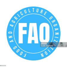 BPIA Urges Support for FAO